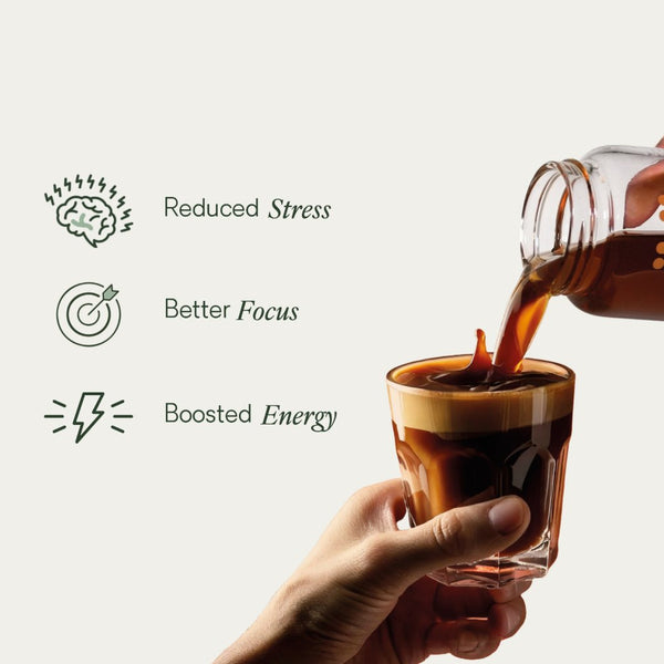 Verve | Honest Mushrooms - 30 Servings