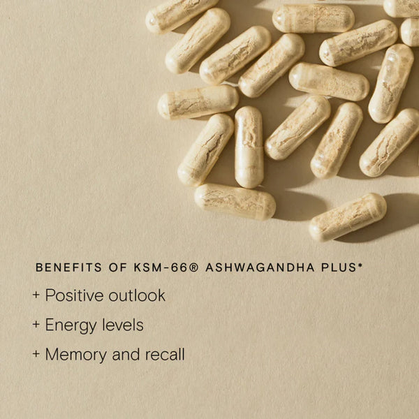 Wild Nutrition | KSM-66 Ashwagandha Plus - 60 Capsules